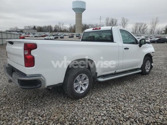 Photo 6 of 2025 CHEVROLET SILVERADO C1500 (VIN 3GCNAAED7SG394244)