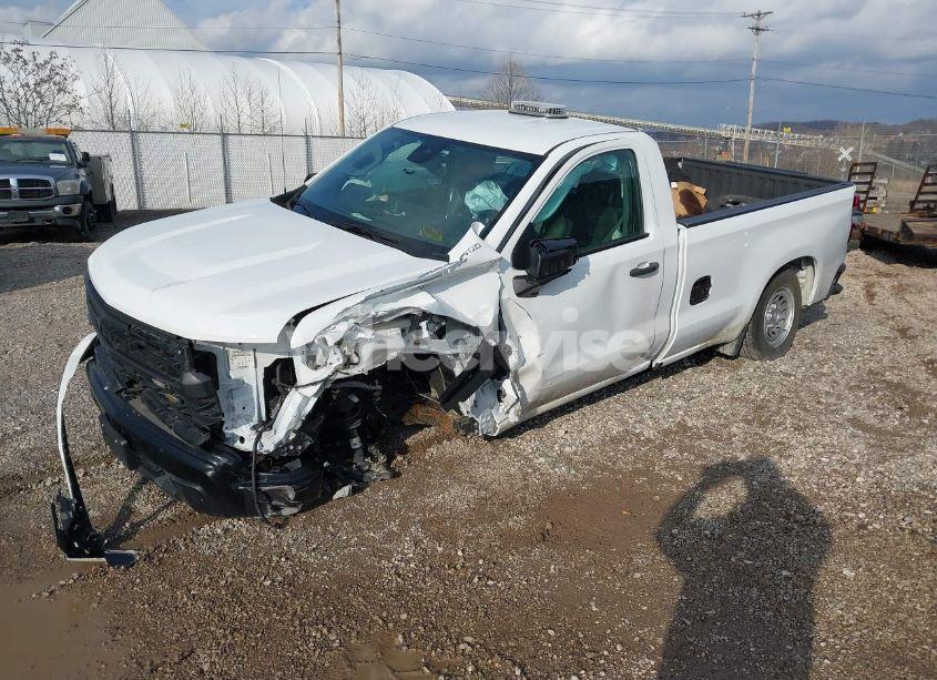 Photo 2 of 2023 Chevrolet Silverado 1500 2WD LONG BED WT (VIN 3GCNAAEK4PG198381)