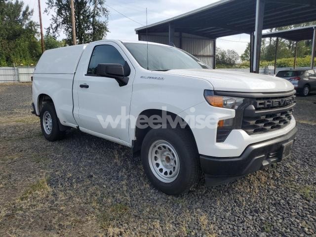 2023 CHEVROLET SILVERADO C1500 (VIN 3GCNAAEK5PG337496) main photo