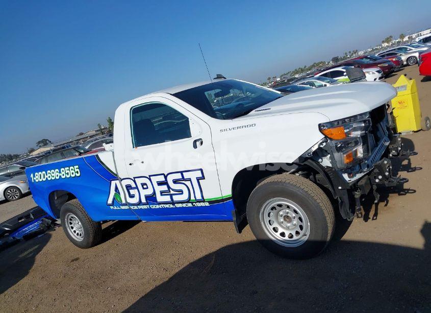 Photo 14 of 2025 Chevrolet Silverado 1500 2WD LONG BED WT (VIN 3GCNAAEKXSG131843)