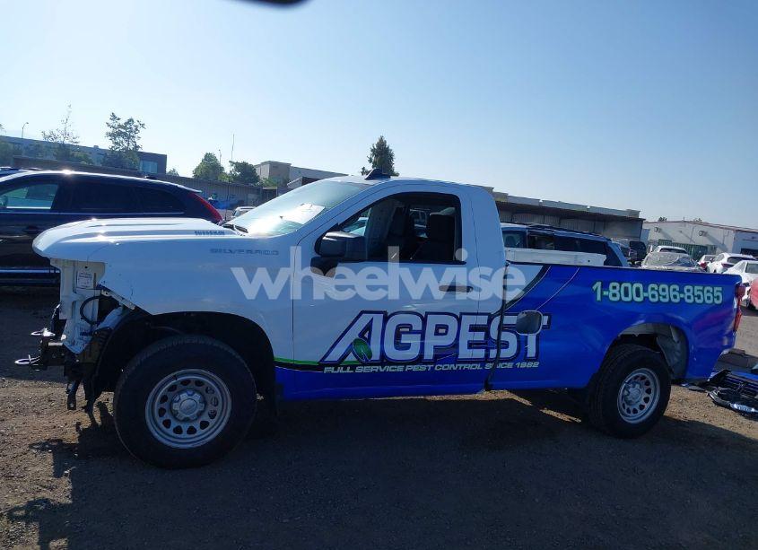 Photo 15 of 2025 Chevrolet Silverado 1500 2WD LONG BED WT (VIN 3GCNAAEKXSG131843)