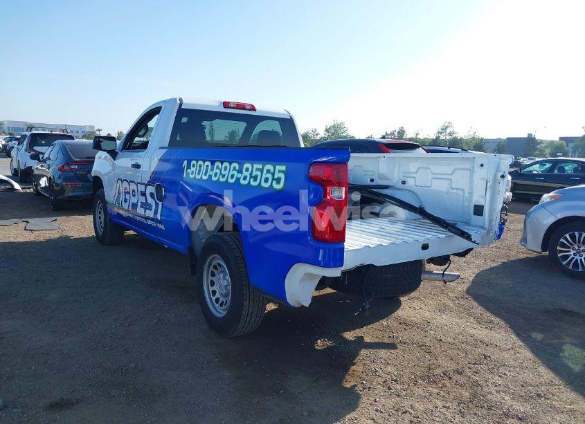 Photo 3 of 2025 Chevrolet Silverado 1500 2WD LONG BED WT (VIN 3GCNAAEKXSG131843)