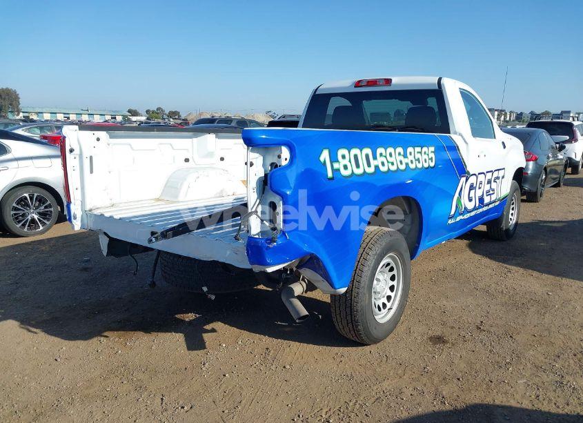 Photo 4 of 2025 Chevrolet Silverado 1500 2WD LONG BED WT (VIN 3GCNAAEKXSG131843)