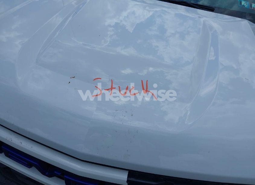 Photo 10 of 2024 Chevrolet Silverado 1500 4WD LONG BED WT (VIN 3GCNDAED3RG269761)