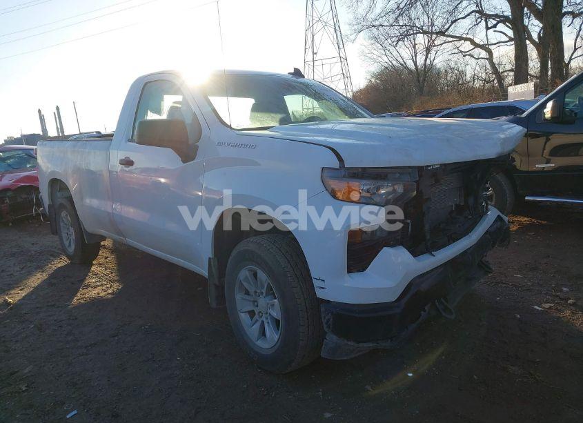 2024 Chevrolet Silverado 1500 4WD LONG BED WT (VIN 3GCNDAED6RG339978) main photo