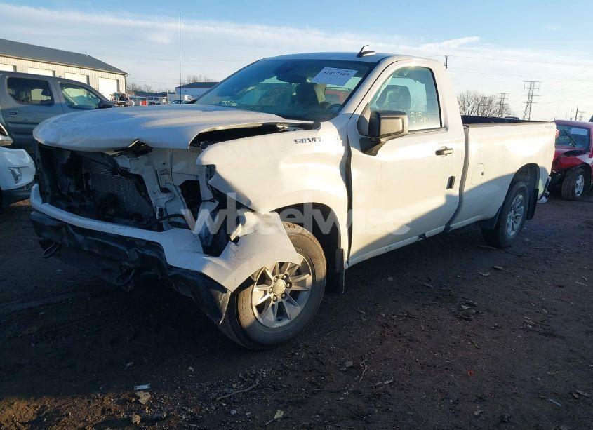 Photo 2 of 2024 Chevrolet Silverado 1500 4WD LONG BED WT (VIN 3GCNDAED6RG339978)