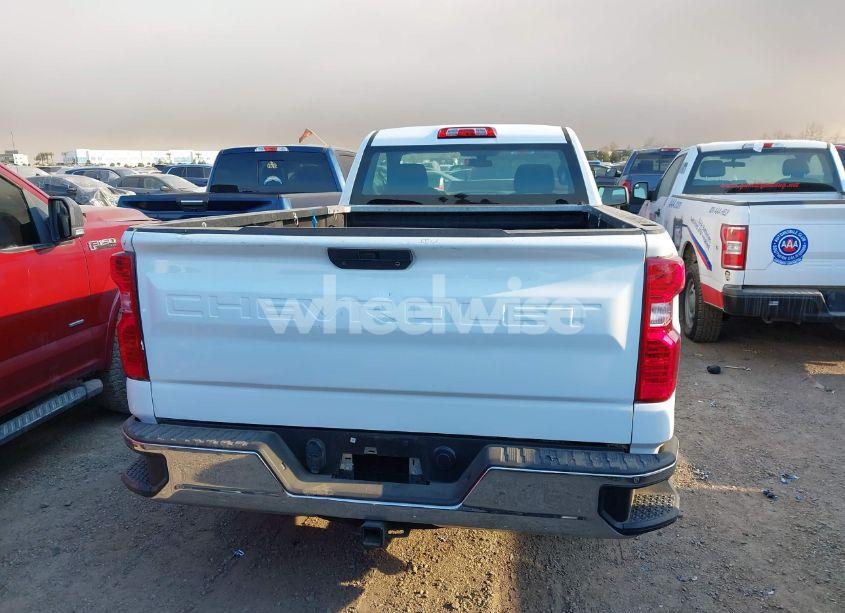 Photo 16 of 2020 Chevrolet Silverado 1500 2WD LONG BED WT (VIN 3GCNWAEF2LG263811)