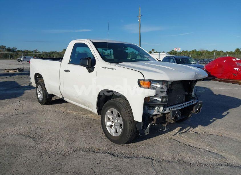 2020 Chevrolet Silverado 1500 2WD LONG BED WT (VIN 3GCNWAEF9LG296613) main photo