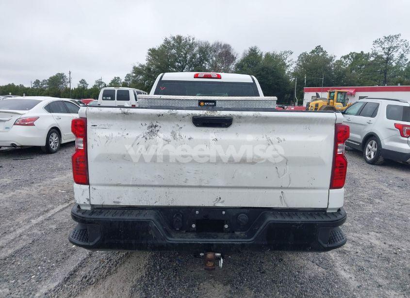 Photo 16 of 2020 Chevrolet Silverado 1500 2WD LONG BED WT (VIN 3GCNWAEH1LG113089)