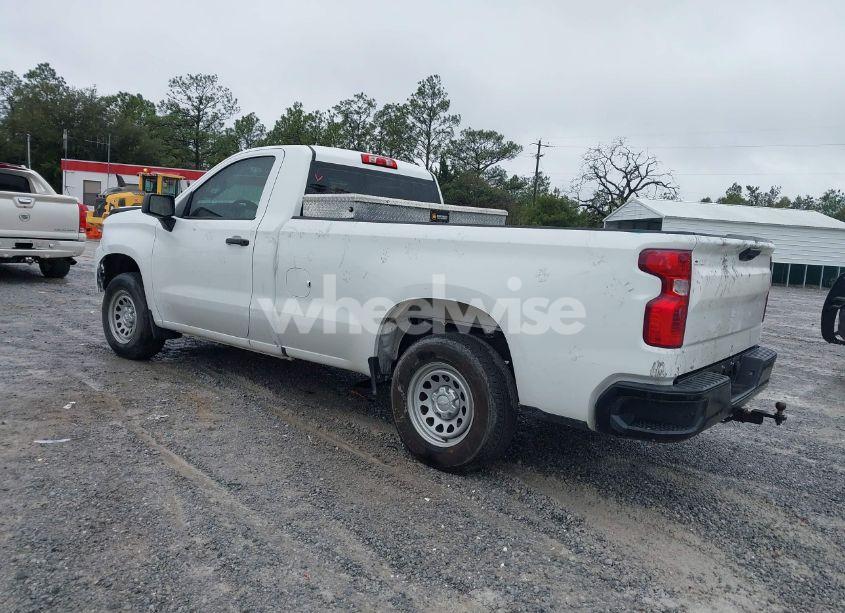Photo 3 of 2020 Chevrolet Silverado 1500 2WD LONG BED WT (VIN 3GCNWAEH1LG113089)
