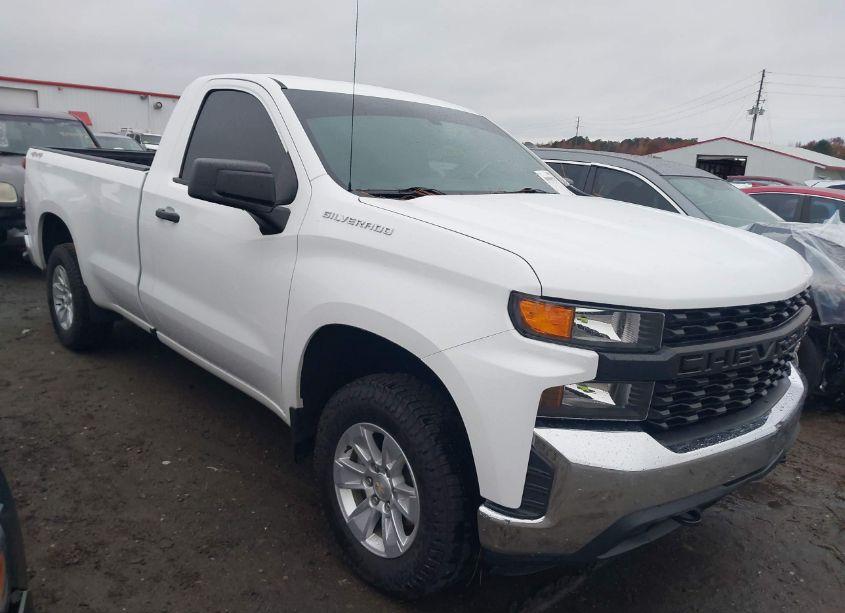 2020 Chevrolet Silverado 1500 4WD LONG BED WT (VIN 3GCNYAEFXLG168729) main photo