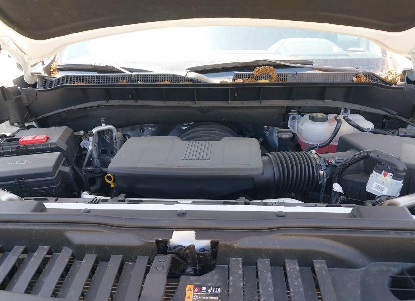 Photo 10 of 2024 Chevrolet Silverado 1500 (VIN 3GCPACED1RG172328)