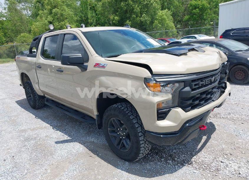 2022 Chevrolet Silverado 1500 4WD SHORT BED CUSTOM TRAIL BOSS (VIN 3GCPDCEDXNG569831) main photo