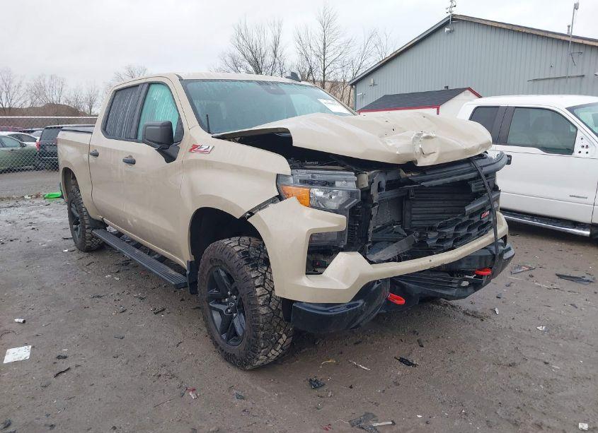 2022 Chevrolet Silverado 1500 4WD SHORT BED CUSTOM TRAIL BOSS (VIN 3GCPDCEK8NG636537) main photo