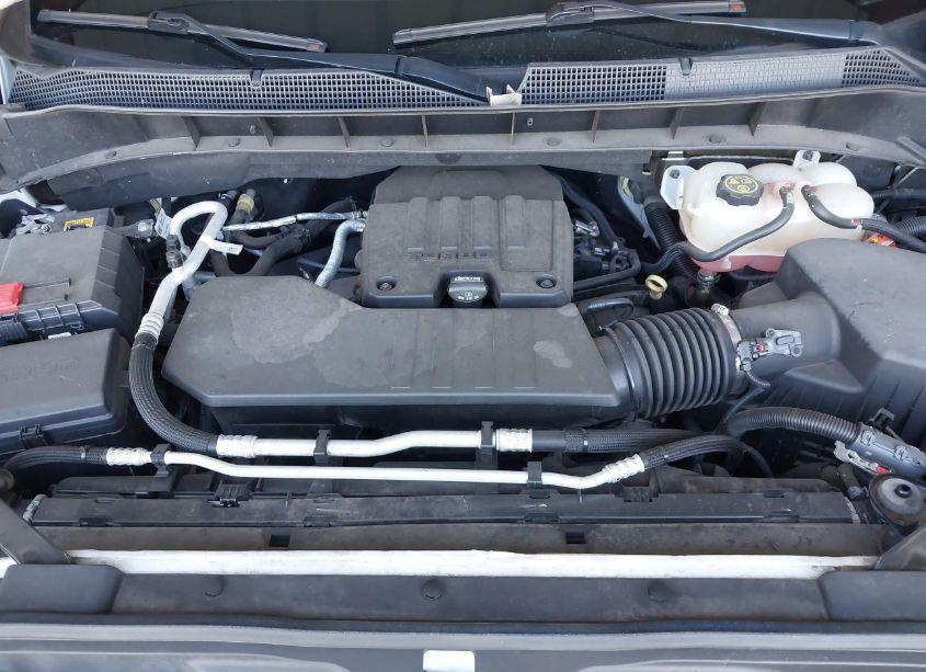 Photo 10 of 2019 Chevrolet Silverado 1500 LT (VIN 3GCPYDEK3KG293142)