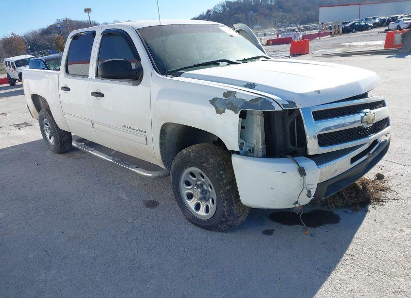 2010 Chevrolet Silverado 1500 LS (VIN 3GCRCREA4AG280247) main photo