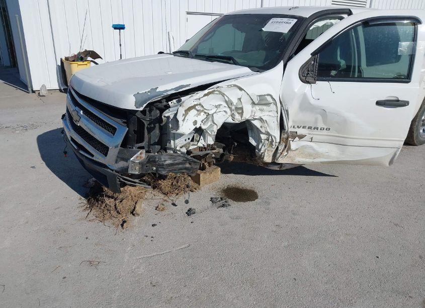 Photo 5 of 2010 Chevrolet Silverado 1500 LS (VIN 3GCRCREA4AG280247)