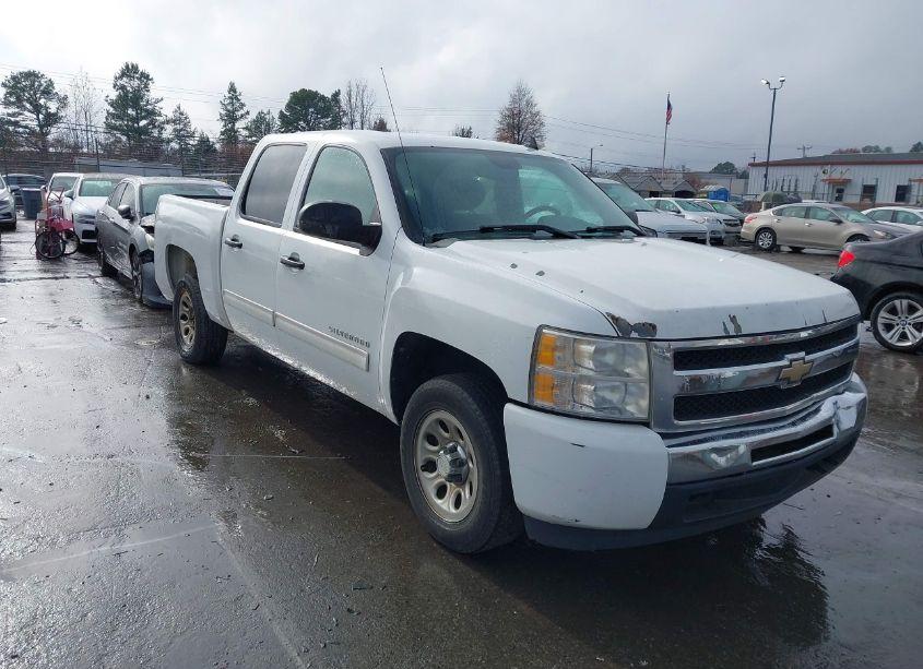 2010 Chevrolet Silverado 1500 LS (VIN 3GCRCREA9AG202515) main photo