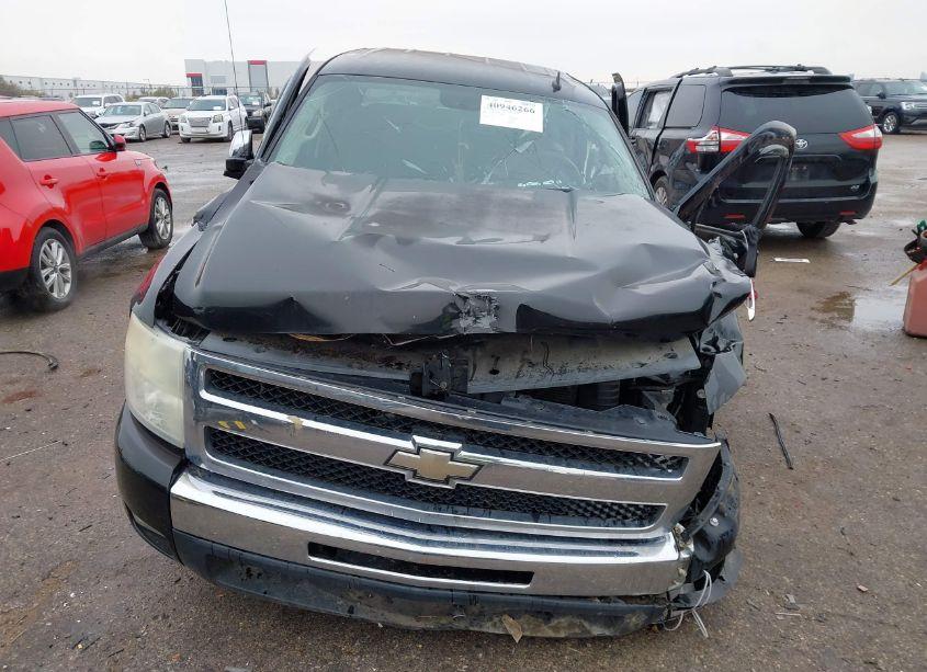 Photo 12 of 2010 Chevrolet Silverado 1500 LT (VIN 3GCRCSE09AG239403)