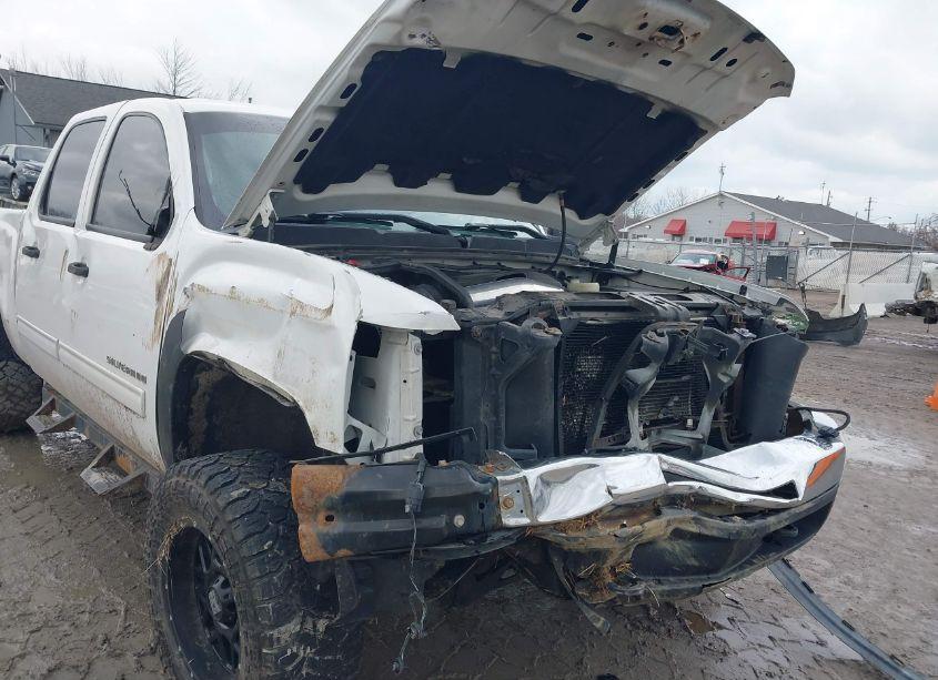 Photo 6 of 2010 Chevrolet Silverado 1500 LS (VIN 3GCRKREA2AG146324)