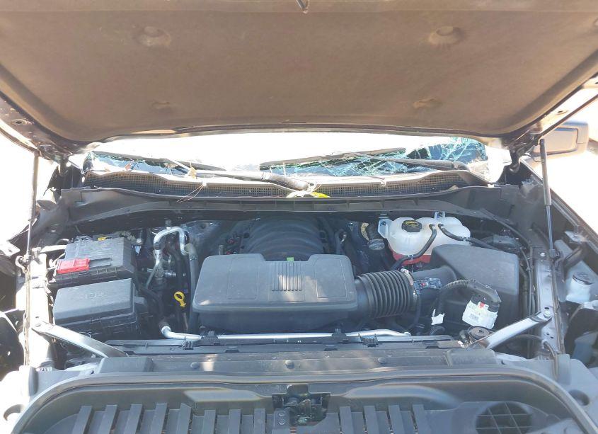 Photo 10 of 2024 Chevrolet Silverado 1500 4WD SHORT BED CUSTOM TRAIL BOSS (VIN 3GCUDCED3RG313362)