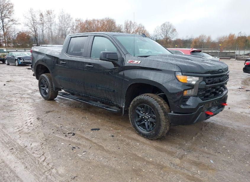 2024 Chevrolet Silverado 1500 4WD SHORT BED CUSTOM TRAIL BOSS (VIN 3GCUDCED6RG423189) main photo