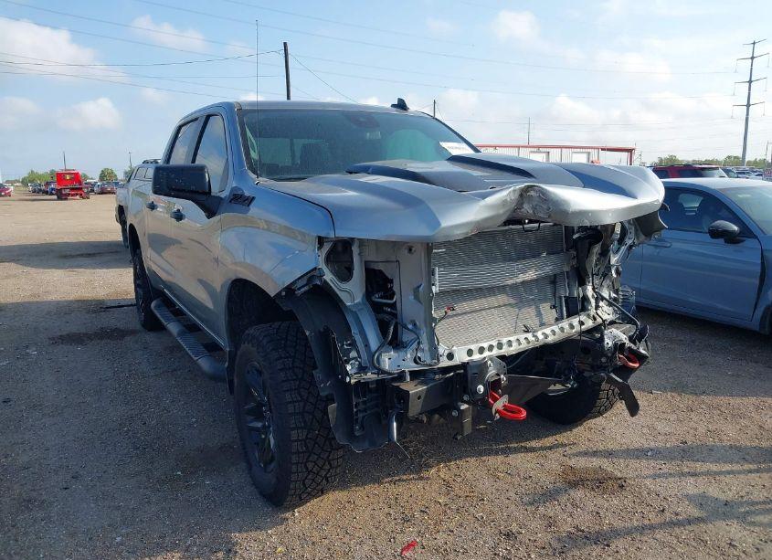 2024 Chevrolet Silverado 1500 4WD SHORT BED CUSTOM TRAIL BOSS (VIN 3GCUDCED8RG384511) main photo