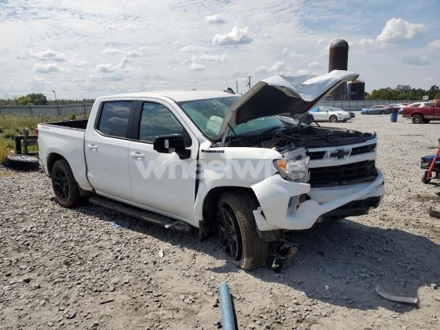2024 CHEVROLET SILVERADO K1500 RST (VIN 3GCUDEELXRG377871) main photo