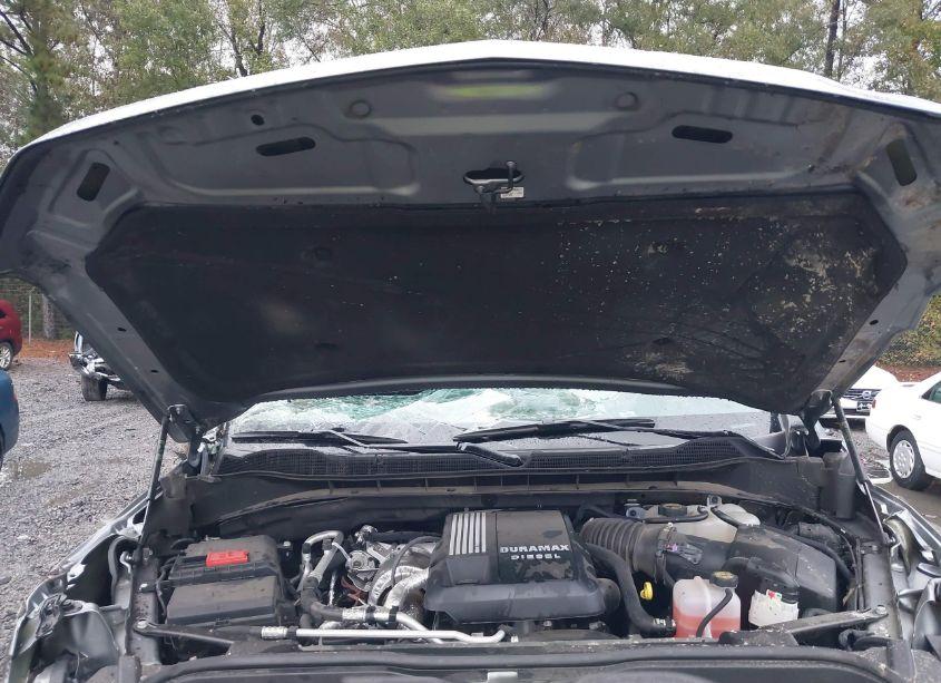 Photo 10 of 2024 Chevrolet Silverado 1500 4WD SHORT BED LT TRAIL BOSS (VIN 3GCUDFE82RG315799)