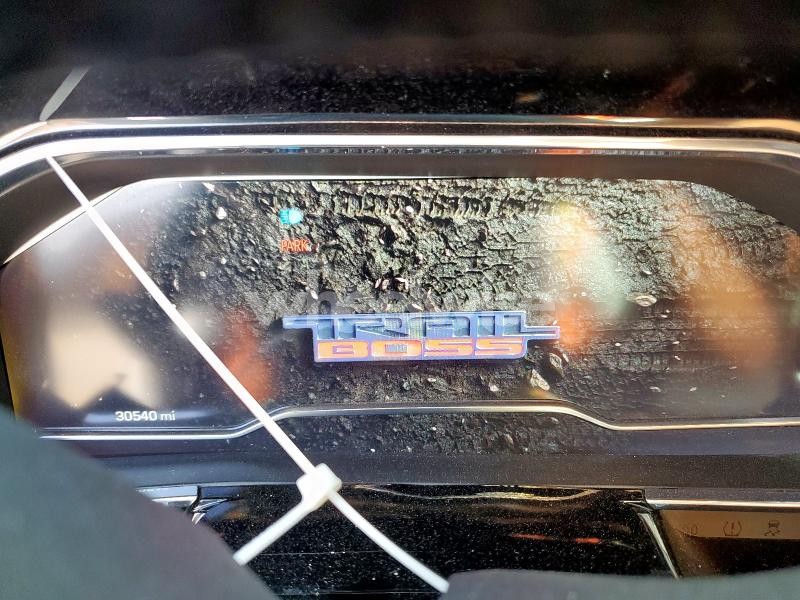 Photo 10 of 2024 CHEVROLET SILVERADO K1500 LT TRAIL BOSS (VIN 3GCUDFEDXRG283469)