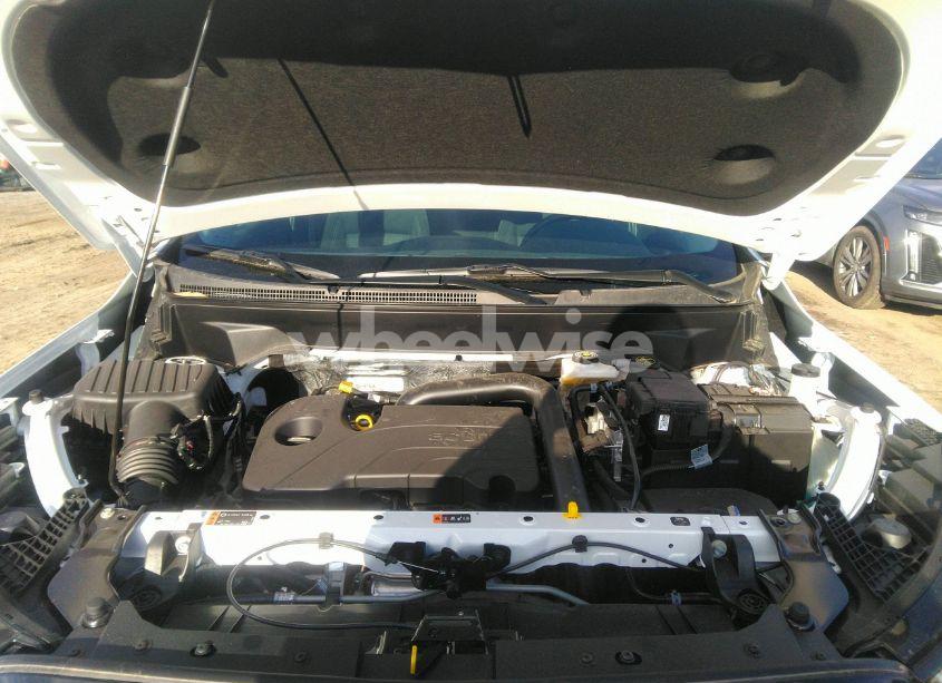 Photo 10 of 2024 Gmc Terrain FWD SLE (VIN 3GKALMEG4RL394079)