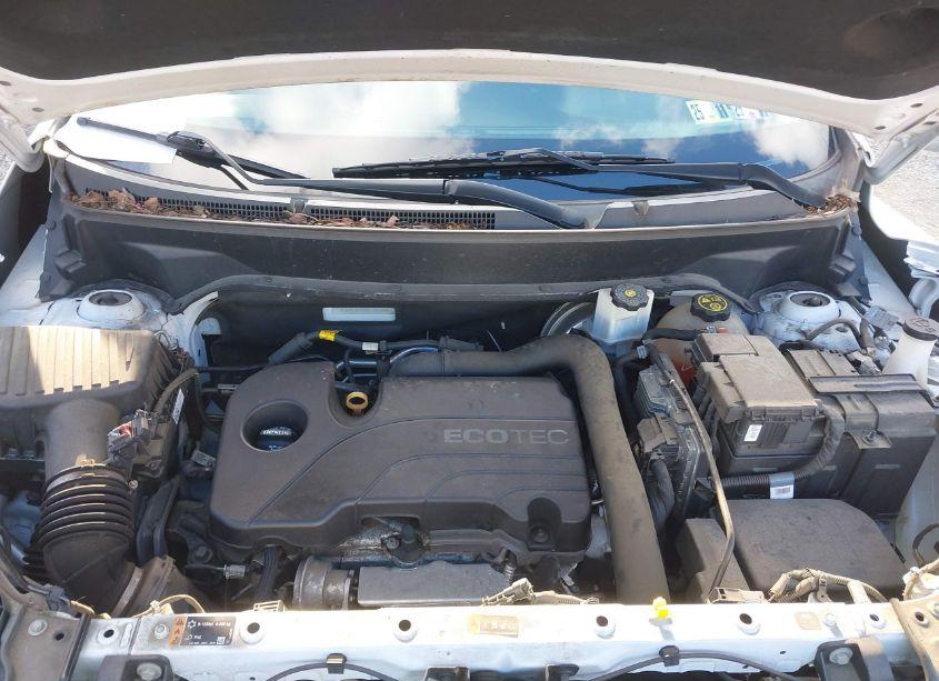 Photo 10 of 2019 Gmc Terrain SLE (VIN 3GKALMEV1KL166156)