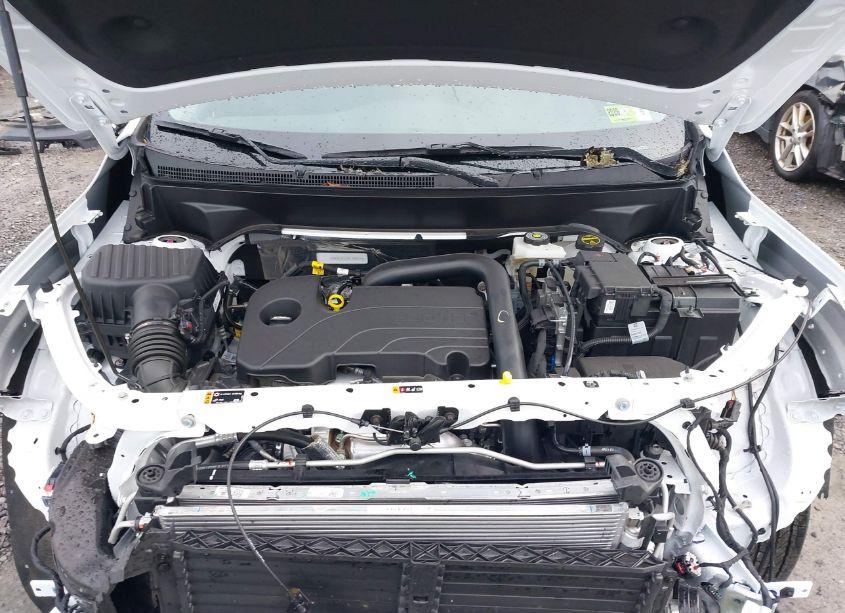 Photo 10 of 2024 Gmc Terrain AWD SLE (VIN 3GKALTEG1RL350616)