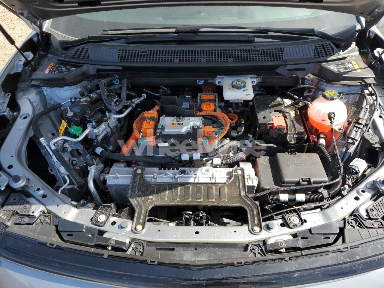 Photo 12 of 2025 CHEVROLET EQUINOX RS (VIN 3GN7DSRR3SS198205)