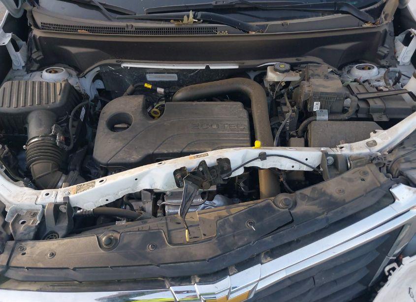 Photo 10 of 2023 Chevrolet Equinox FWD 1FL (VIN 3GNAXFEG2PL227848)