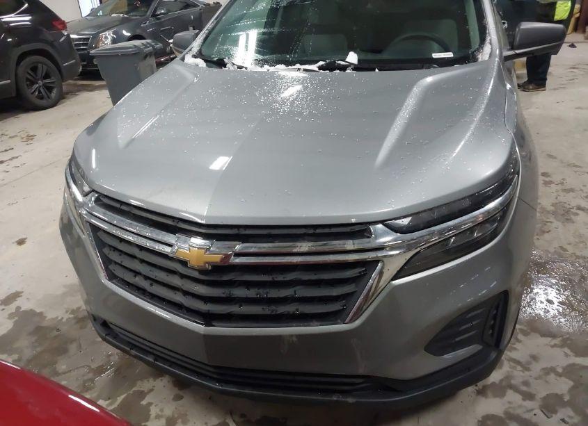 Photo 12 of 2023 Chevrolet Equinox FWD 1FL (VIN 3GNAXFEG5PL190696)