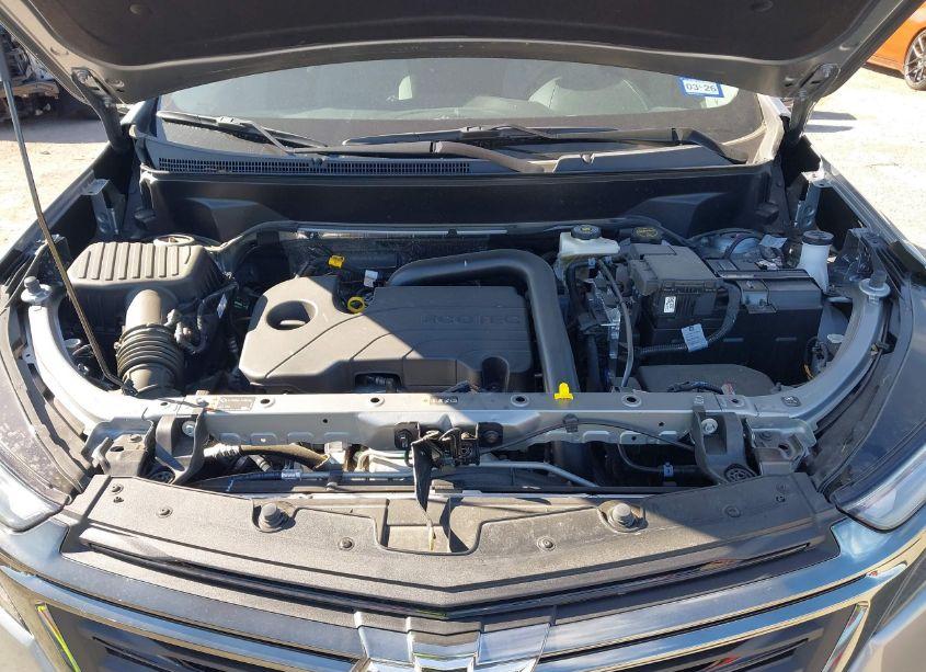 Photo 10 of 2024 Chevrolet Equinox FWD LS (VIN 3GNAXHEG1RL305003)