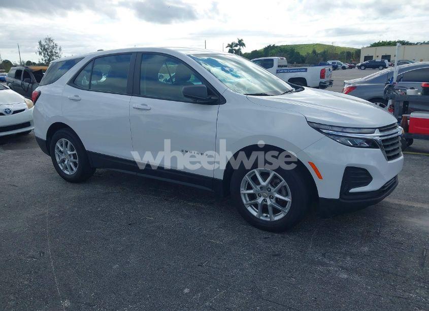 2023 Chevrolet Equinox FWD LS (VIN 3GNAXHEG3PL243407) main photo