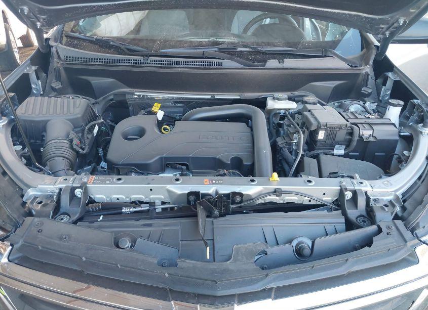 Photo 10 of 2024 Chevrolet Equinox FWD LS (VIN 3GNAXHEG6RL308852)
