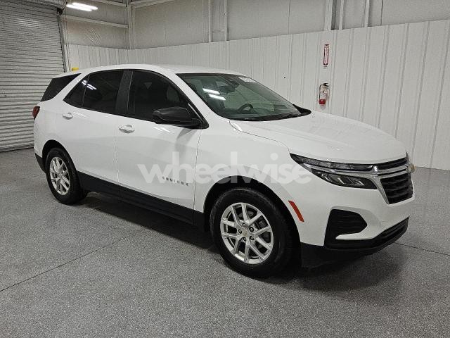 2024 CHEVROLET EQUINOX LS N/A (VIN 3GNAXHEG9RL313138) main photo