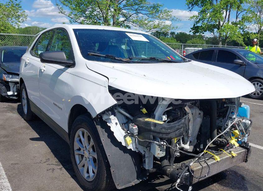 2018 Chevrolet Equinox LS (VIN 3GNAXHEV0JL300782) main photo