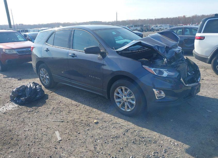 2019 Chevrolet Equinox LS (VIN 3GNAXHEV0KL288764) main photo