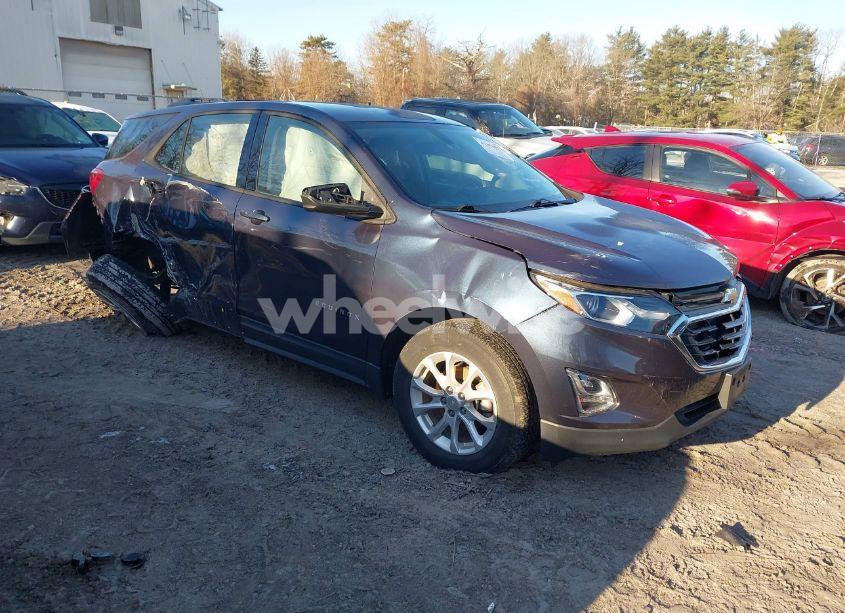 2019 Chevrolet Equinox LS (VIN 3GNAXHEV0KL307300) main photo