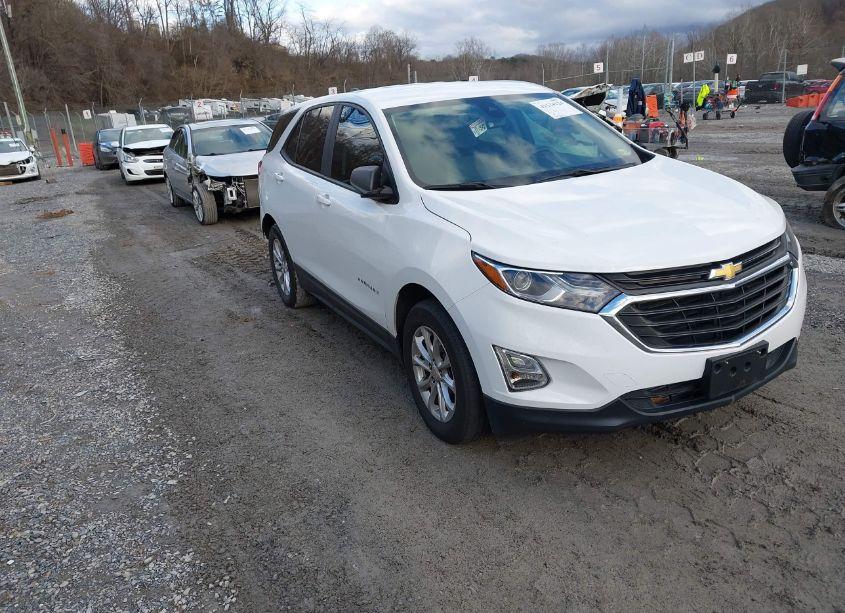 2020 Chevrolet Equinox FWD LS (VIN 3GNAXHEV1LS702710) main photo