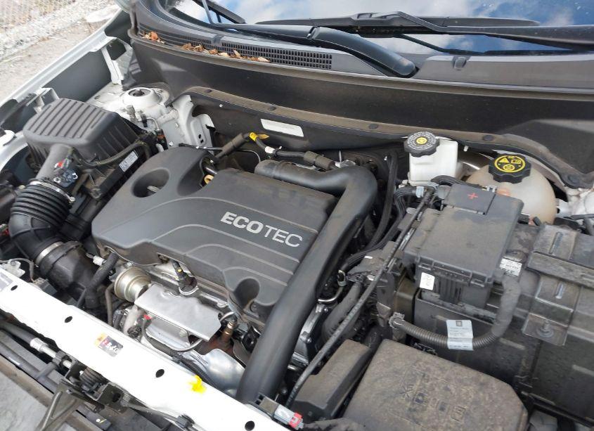 Photo 10 of 2020 Chevrolet Equinox FWD LS (VIN 3GNAXHEV1LS702710)