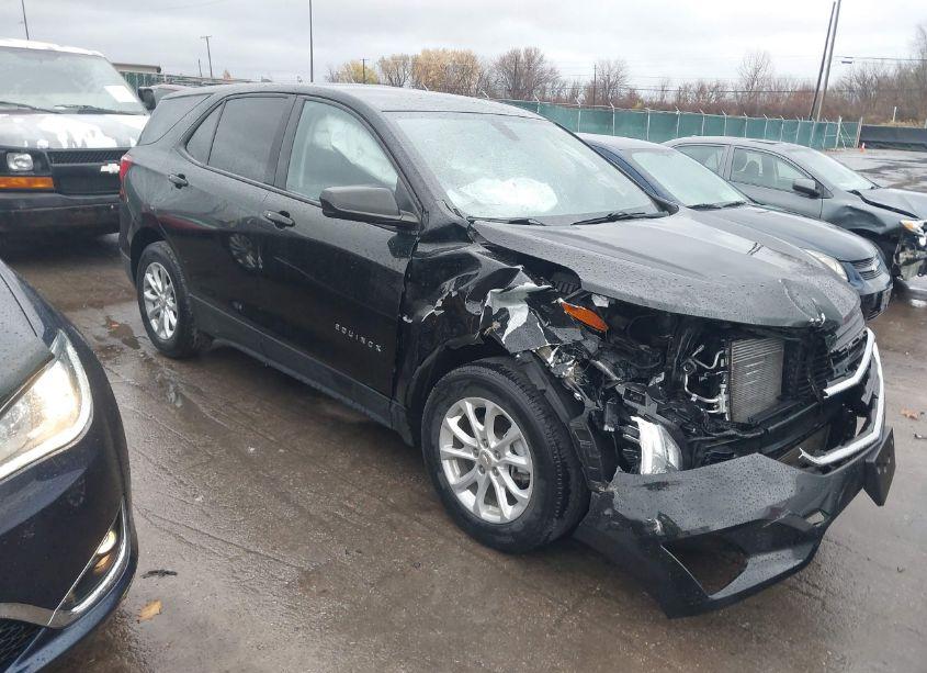2019 Chevrolet Equinox LS (VIN 3GNAXHEV2KL243096) main photo