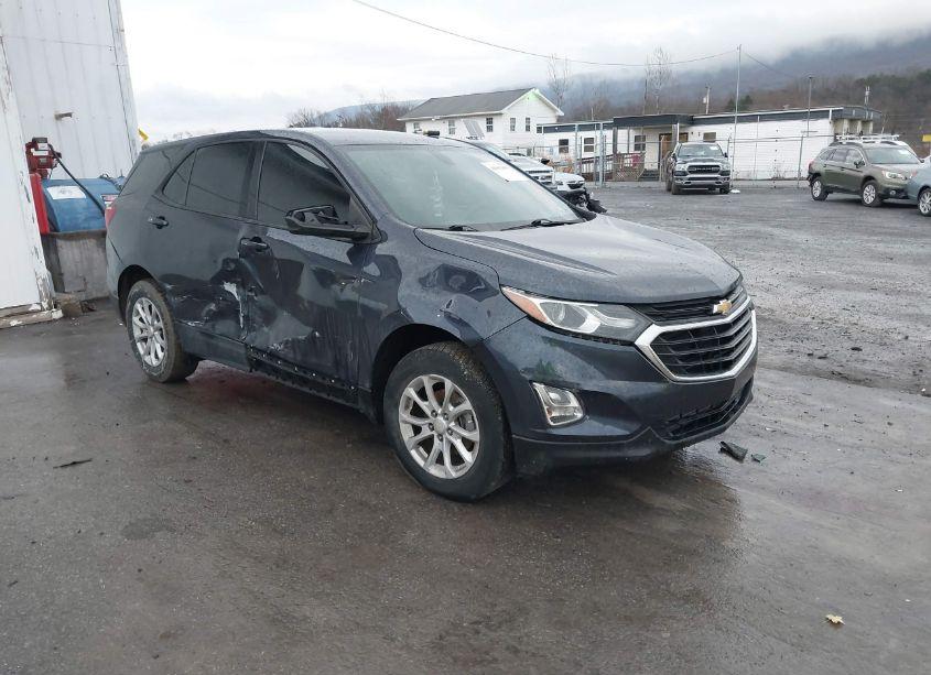 2019 Chevrolet Equinox LS (VIN 3GNAXHEV5KL251936) main photo
