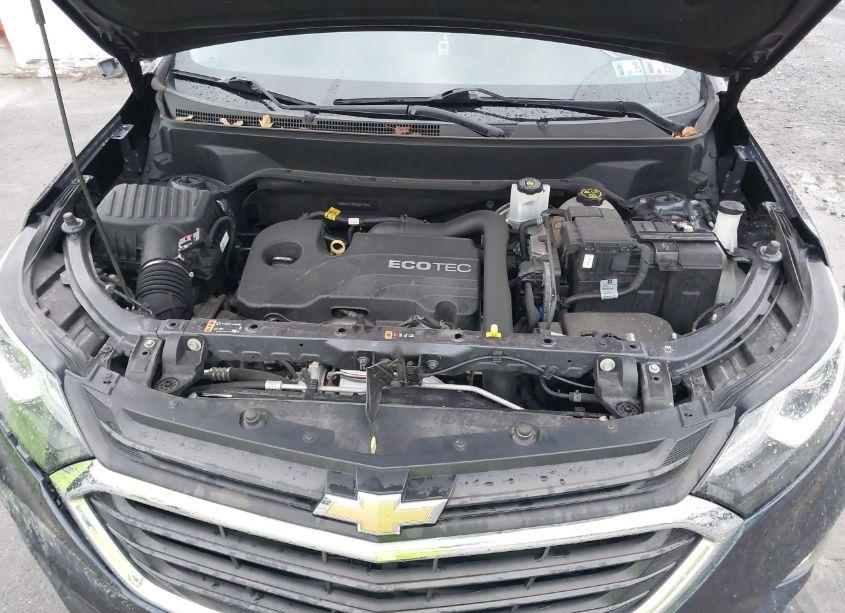 Photo 10 of 2019 Chevrolet Equinox LS (VIN 3GNAXHEV5KL251936)