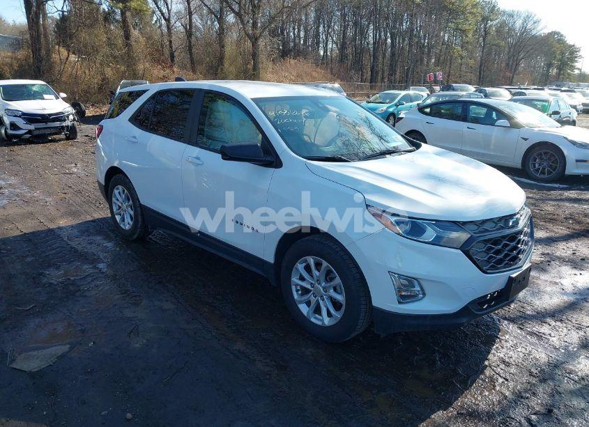 2020 Chevrolet Equinox FWD LS (VIN 3GNAXHEV5LS529998) main photo