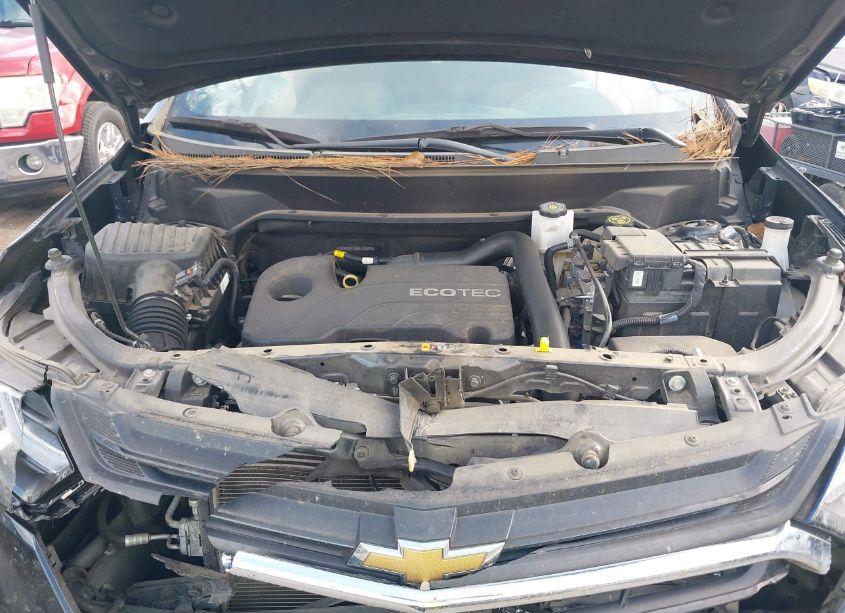 Photo 10 of 2021 Chevrolet Equinox FWD LS (VIN 3GNAXHEV5MS108669)